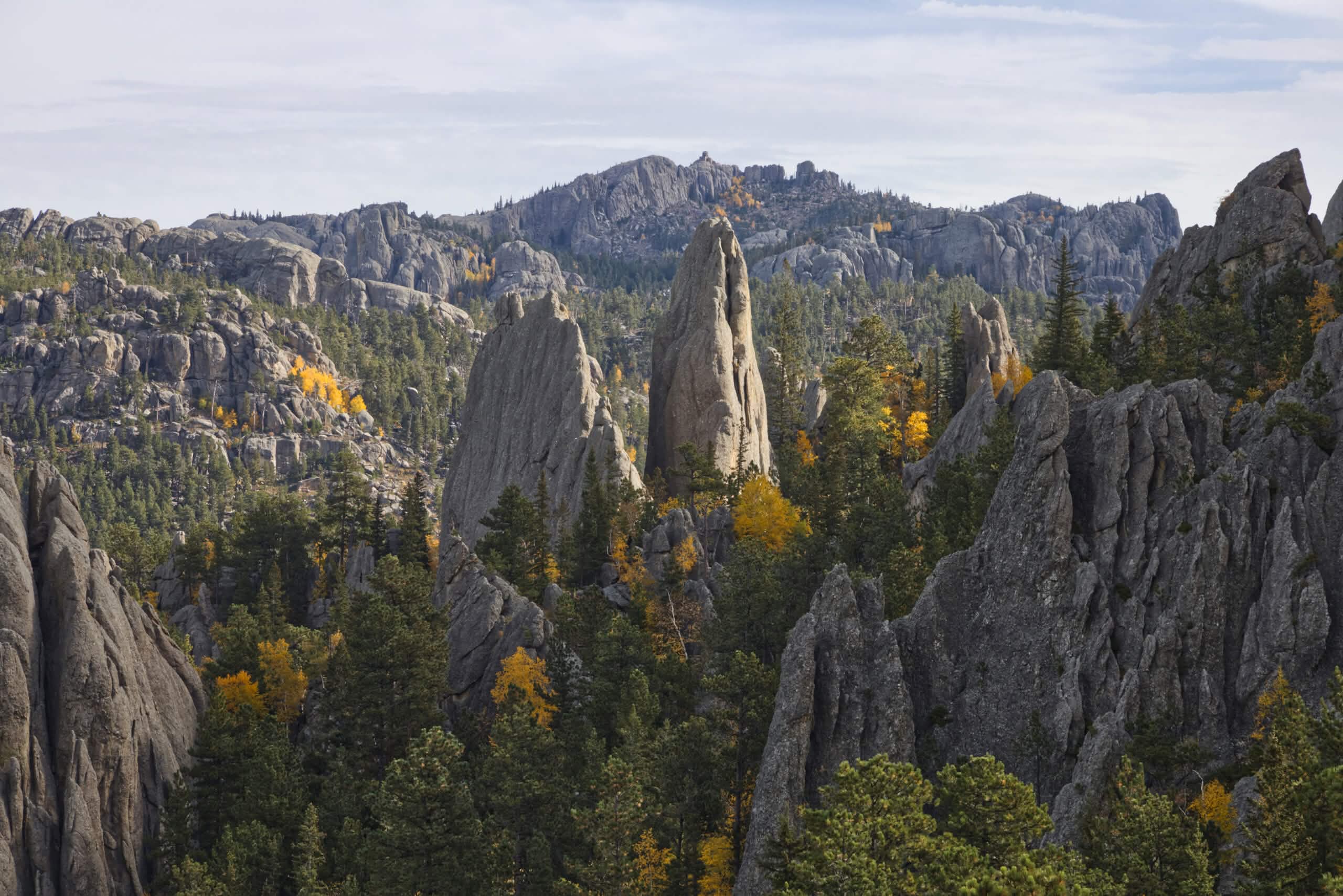 The Black Hills in South Dakota.